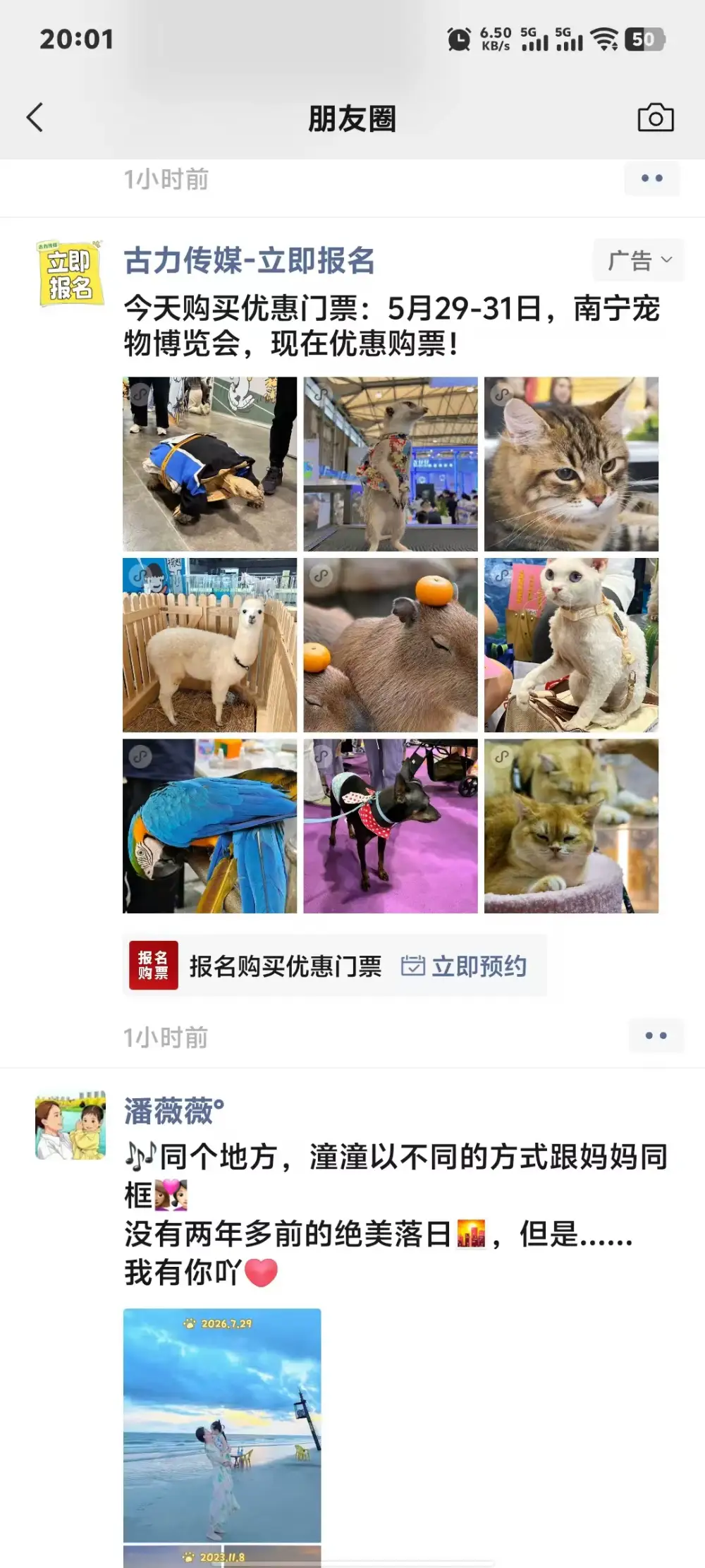 南宁宠物博览会朋友圈门票推广广告